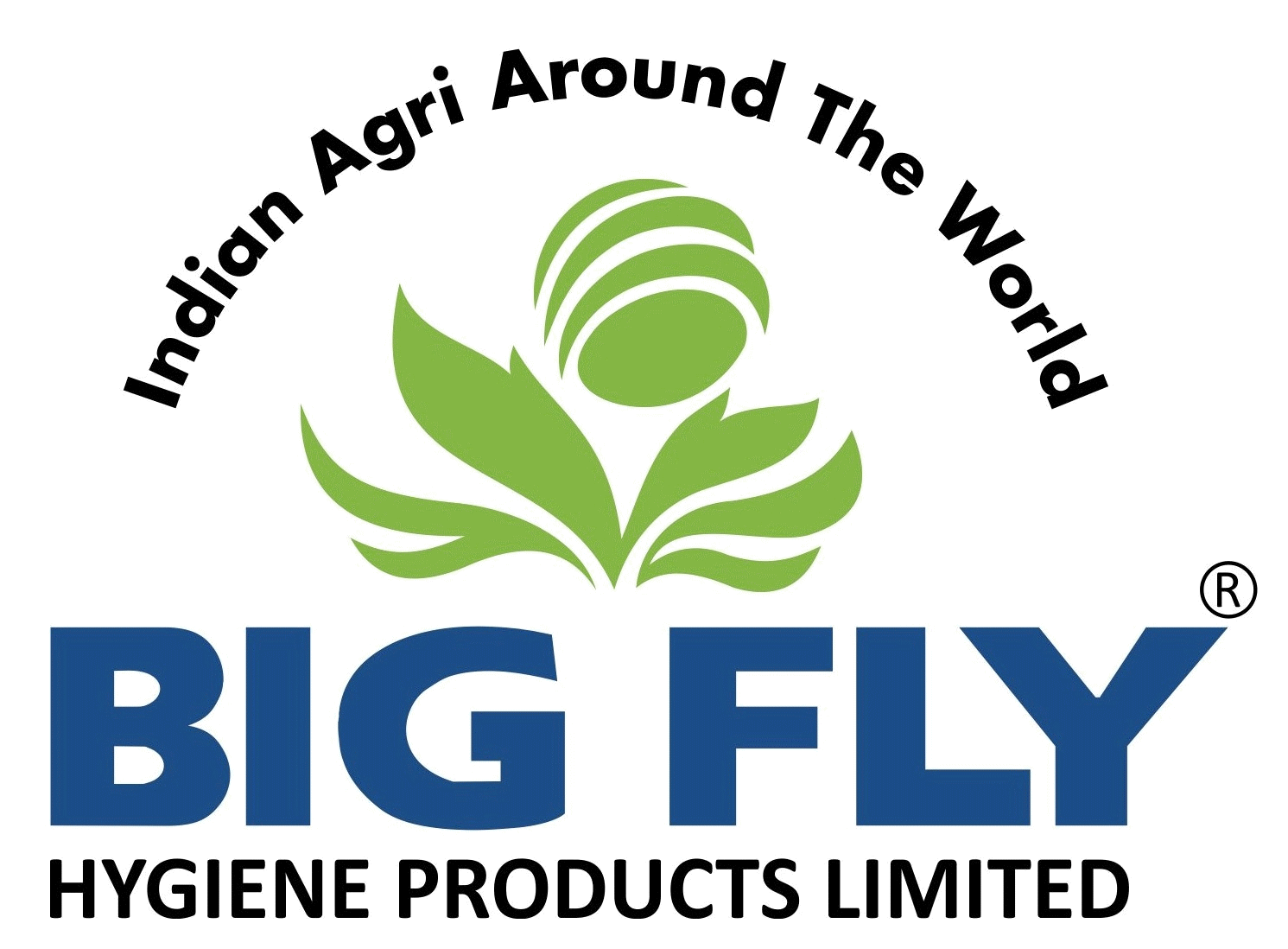 Big Fly Hiygiene Products Ltd.